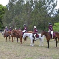 Tamborine Pony Club Inc