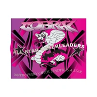 Cobra All Starz Cheerleading