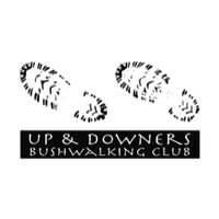 The Up & Downers BWC Inc