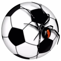 Buninyong Redbacks Soccer Club