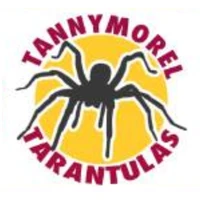 Tannymorel Bowls Club Inc