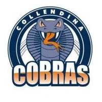 Collendina Cricket Club