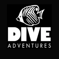 Dive Adventures - Melbourne