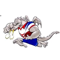 St George Dragons JRLFC 