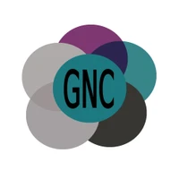 Gemini Netball Club Inc