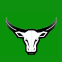 Bulimba Bulls Hockey Club