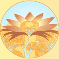 The Lotus Centre