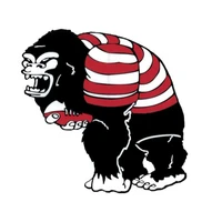 Narromine Gorillas Rugby Union Football Club