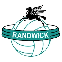 The Wanderers Netball Club