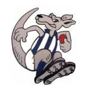 Walpeup/Underbool Football Club