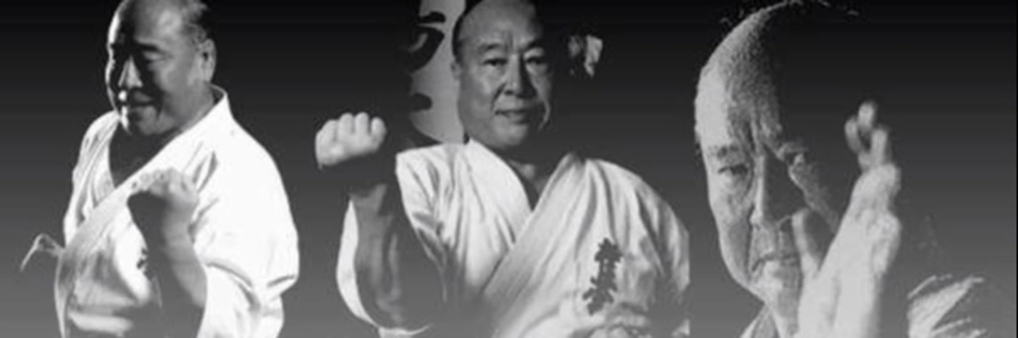 Kyokushin International Martial Arts Australia - Annangrove Dojo