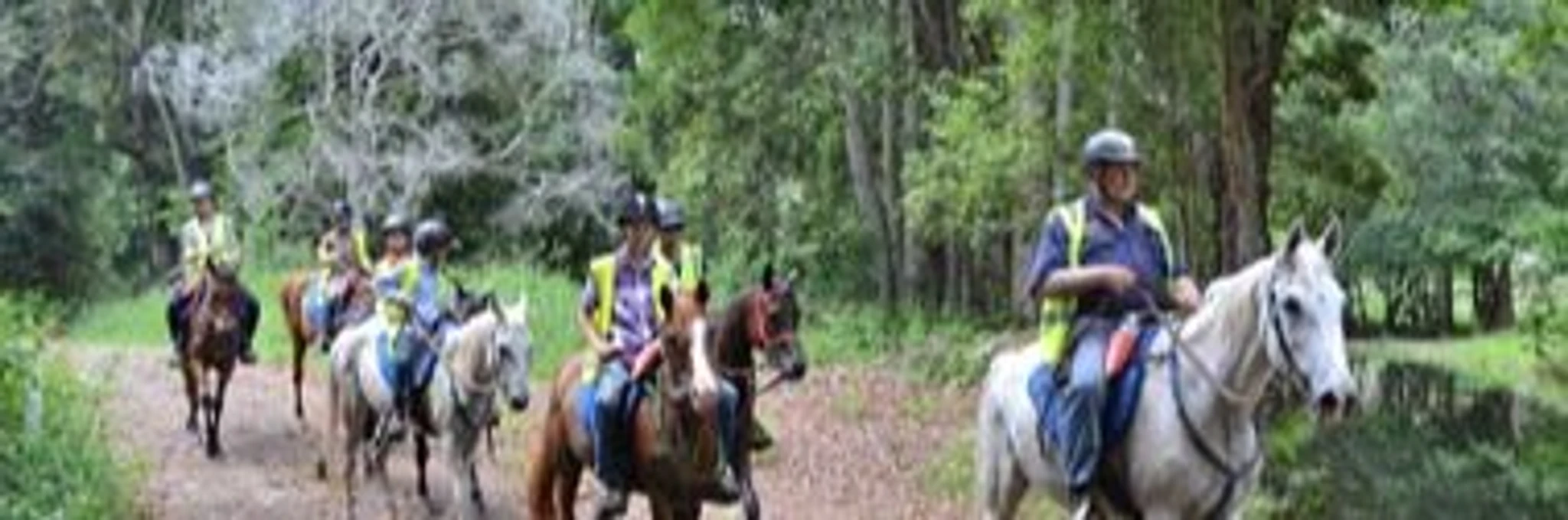 Mary Valley Adventure Trails