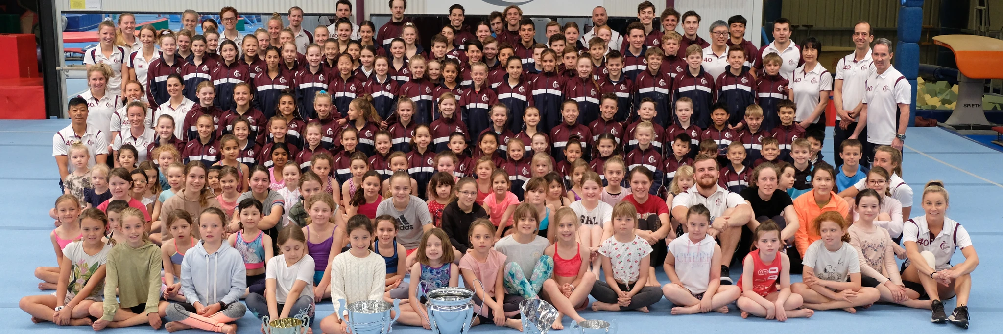 Manly Warringah Gymnastic Club