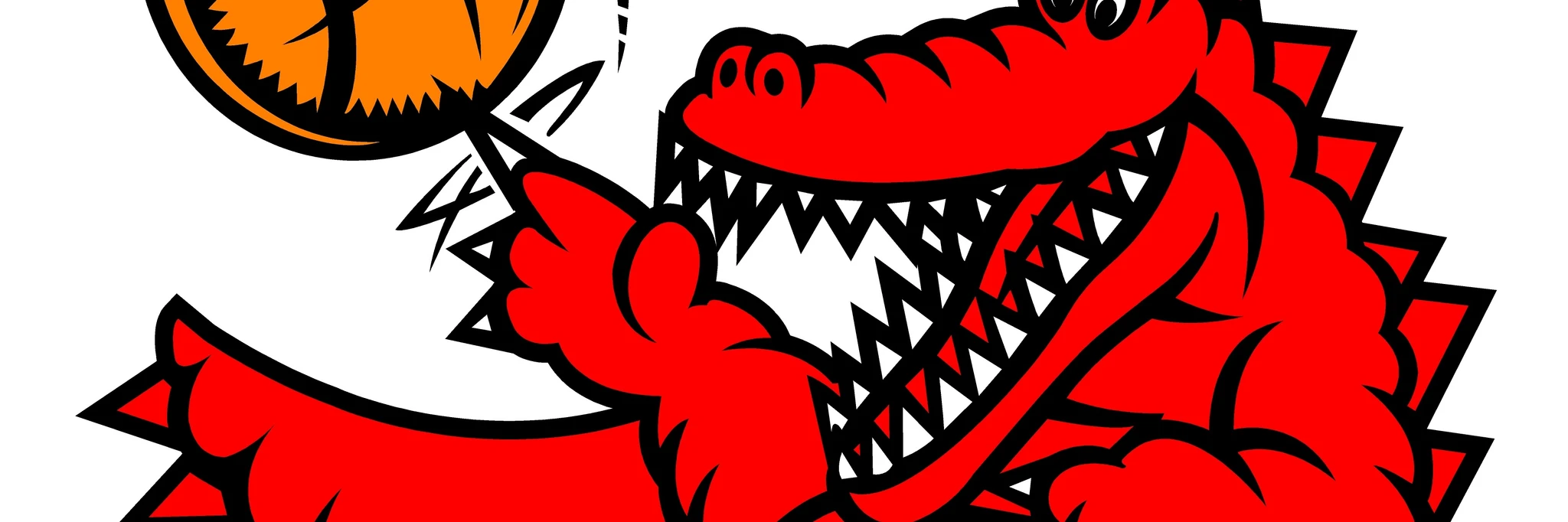 Greater Shepparton Basketball Association