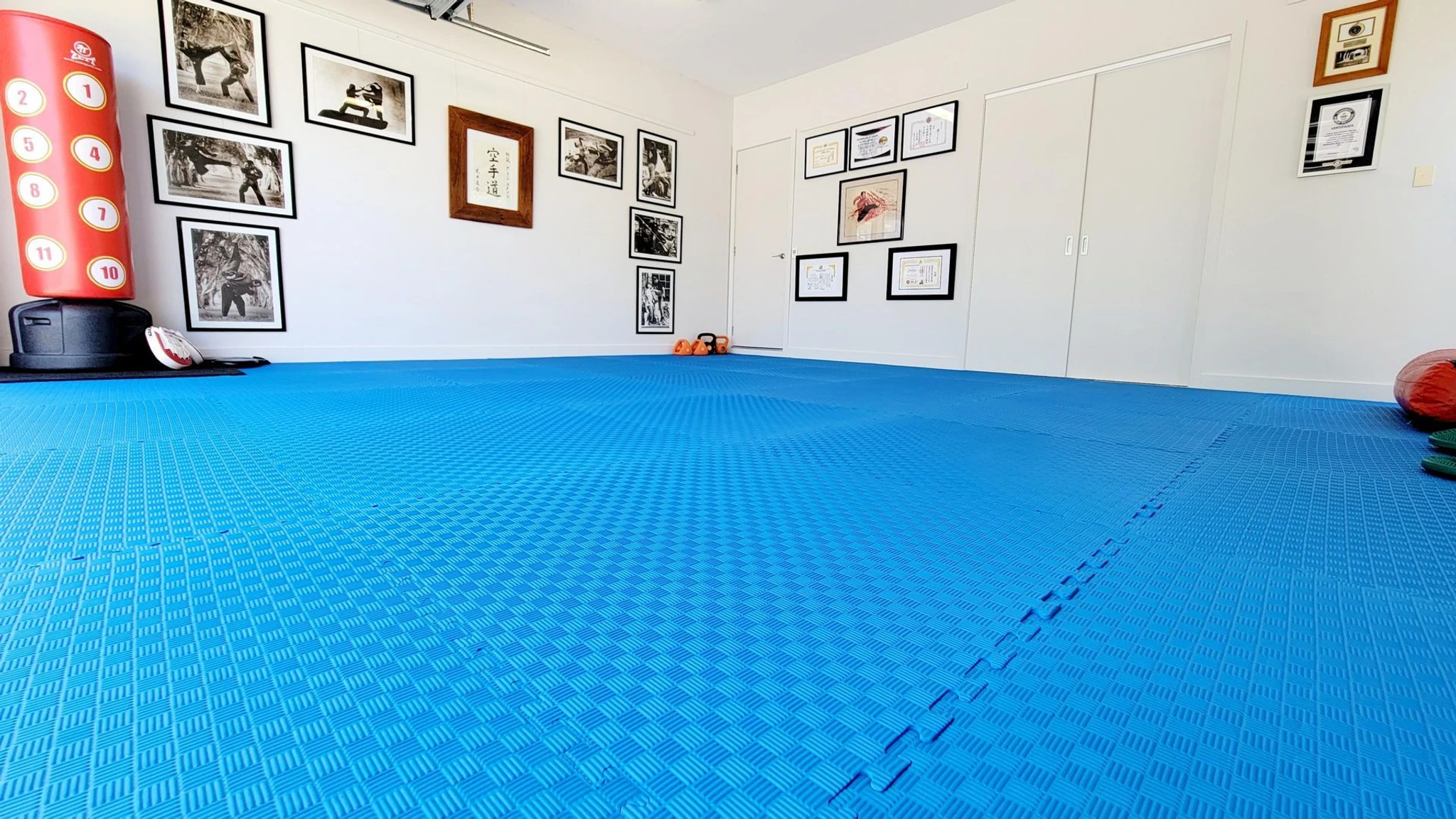 Bushidokai International - Headquarters to a Mixed Martial Arts program for all ages and fitness levels