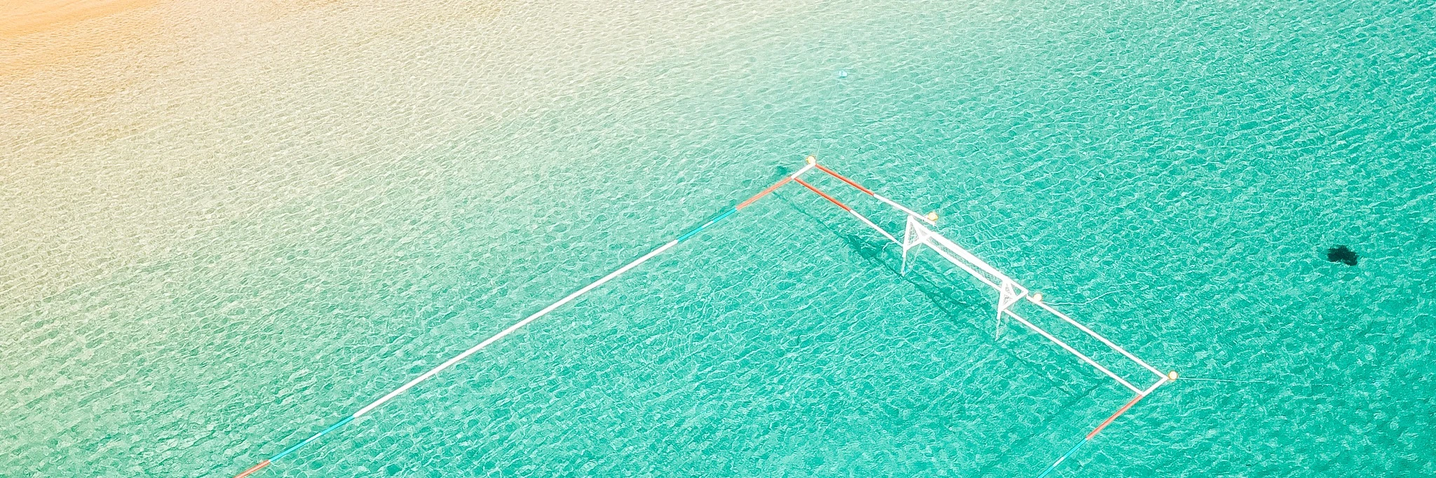 Beach Water Polo Fours