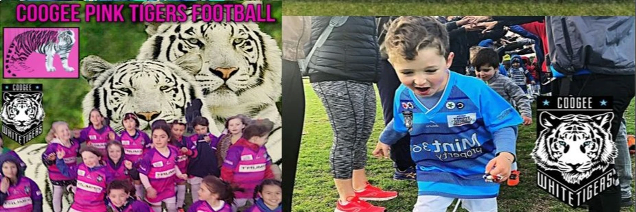 Coogee White Tigers FC