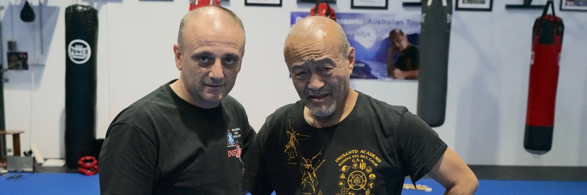 Progressive Combat Systems