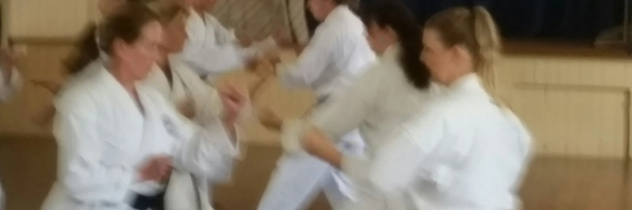 Yamaguchi Goju kai Karate QLD - Alexandra Hills