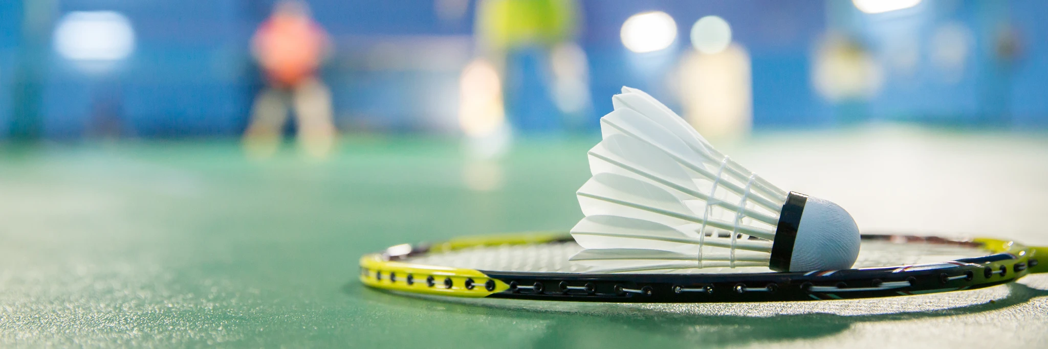 Dulwich Hill Badminton Club