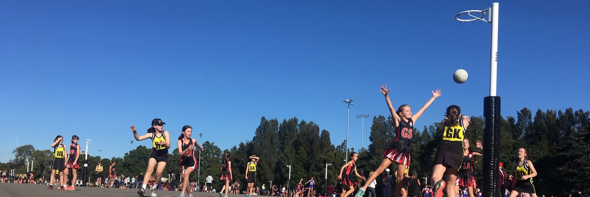 Leichhardt Wanderers Netball Club, Inc.