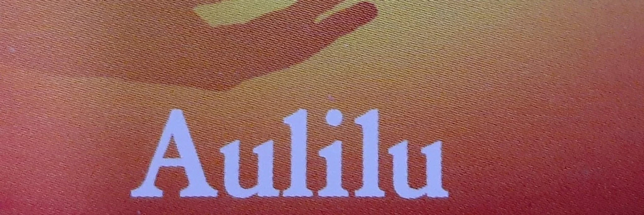 Aulilu personal training for every ability