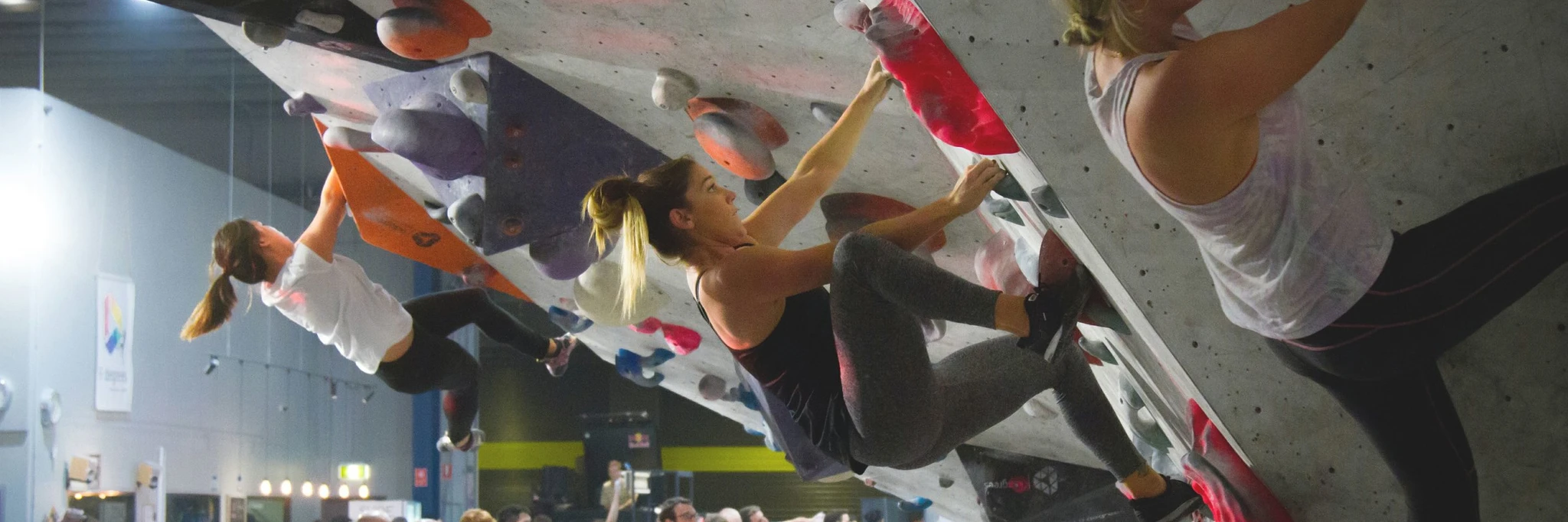 9 Degrees Alexandria