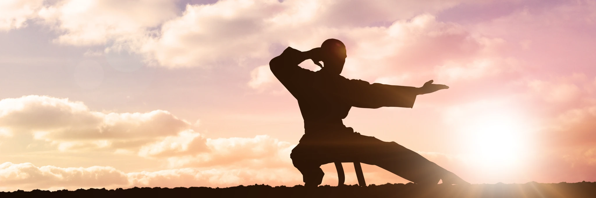 Kyokushin International Karate Organisation (KIKO)