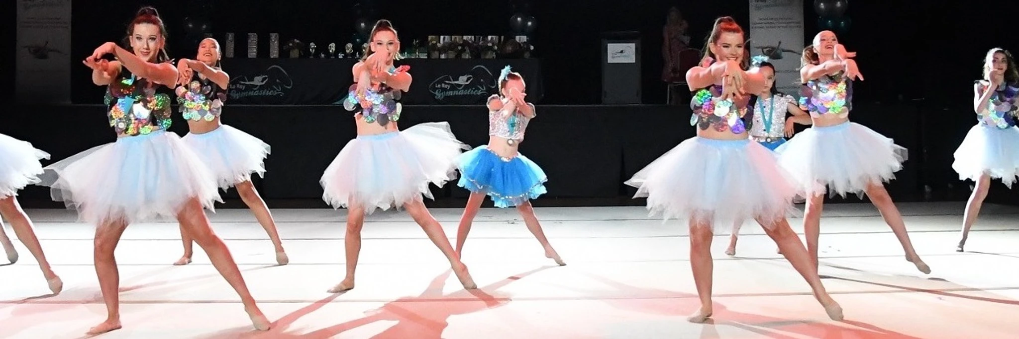Le Ray Gymnastics Ravenswood