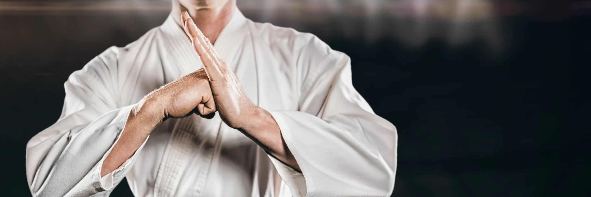 International Wing Chun Academy