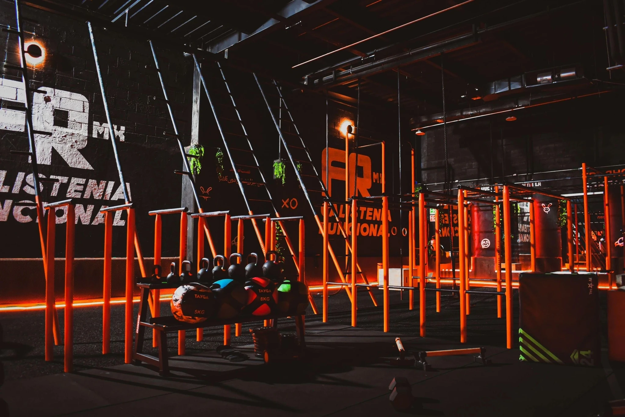 Fitness Rep Mx - Gimnasio de Calistenia y Entrenamiento Funcional