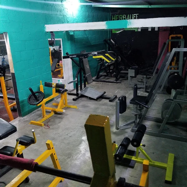 Spartanos Gym