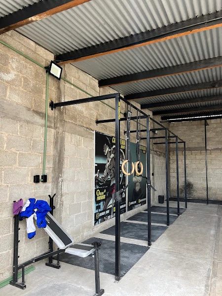 BLACK PANTHERS CALISTENIA - FITNESS CLUB