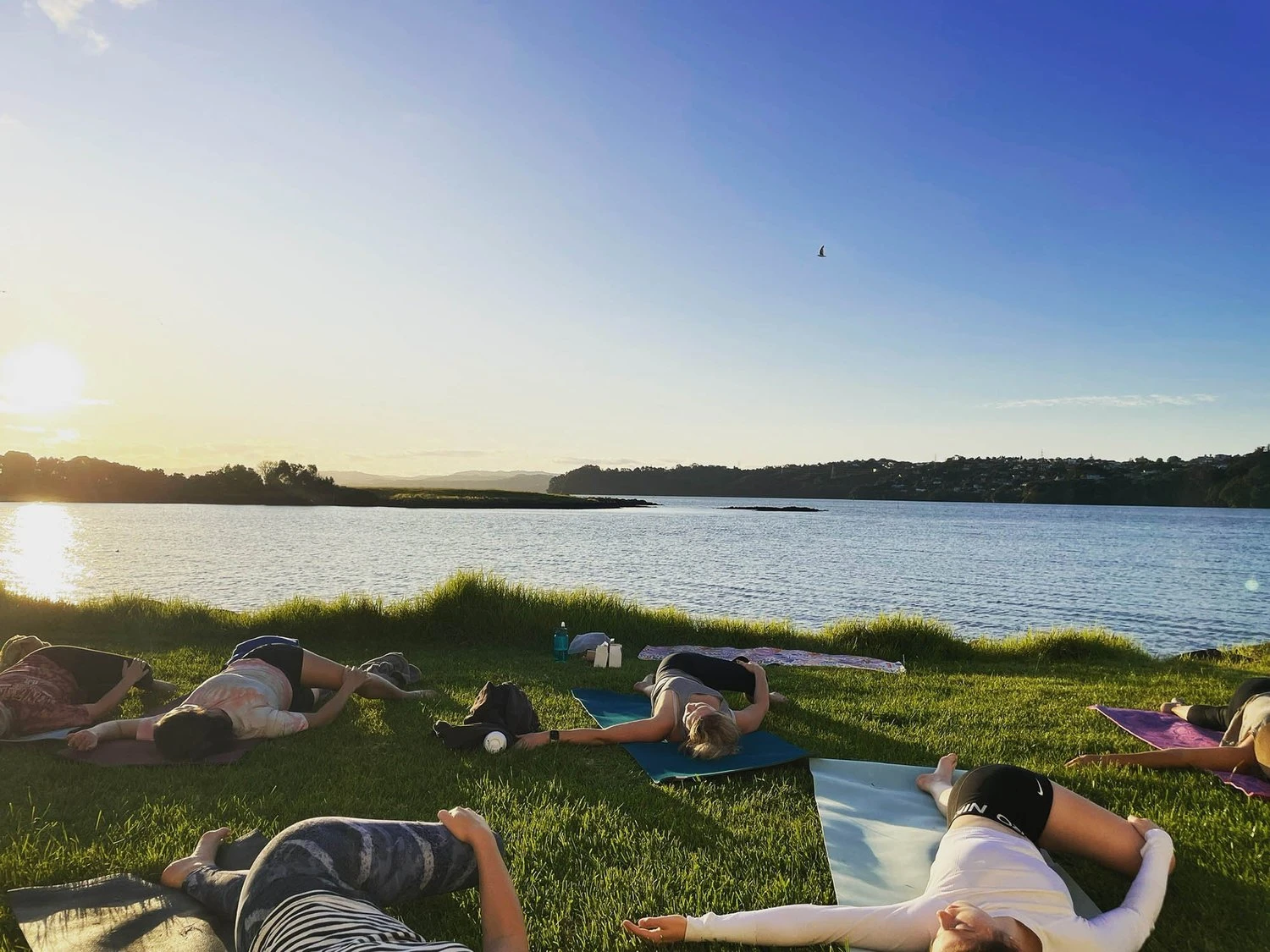 Being NZ