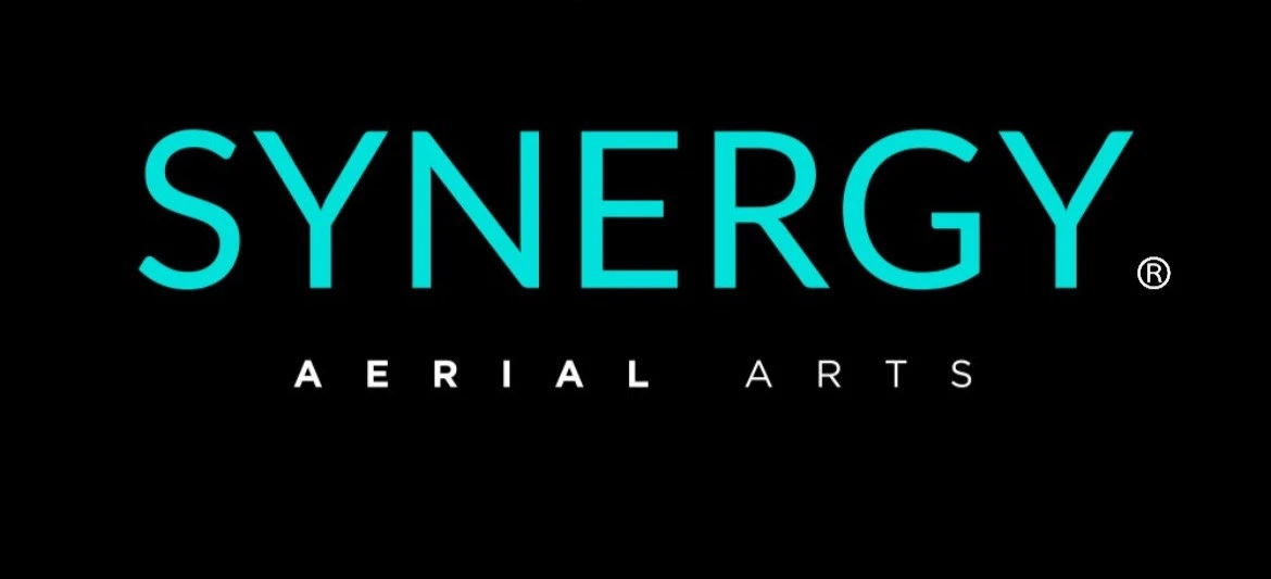 Synergy Aerial Arts