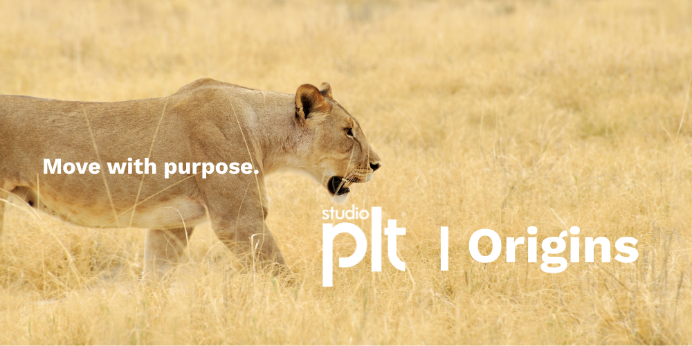 Studio PLT® | Reformer Pilates