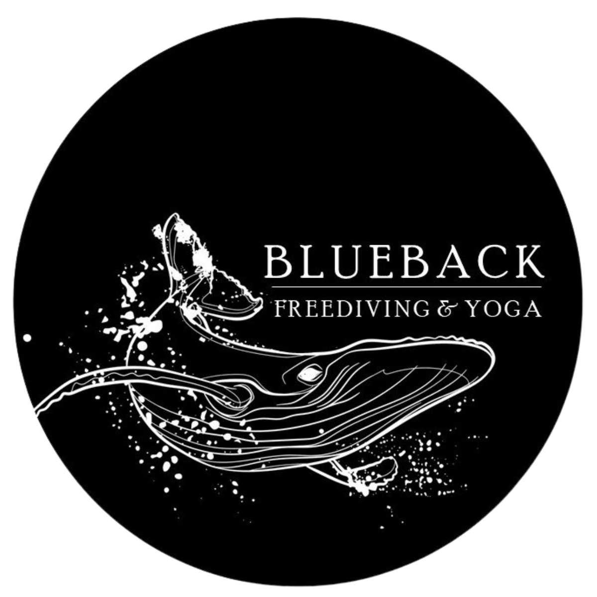 Blueback Freediving & Yoga