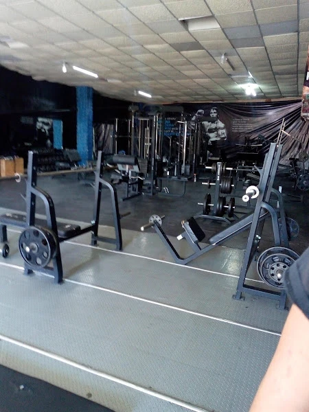 Dragon's Gym