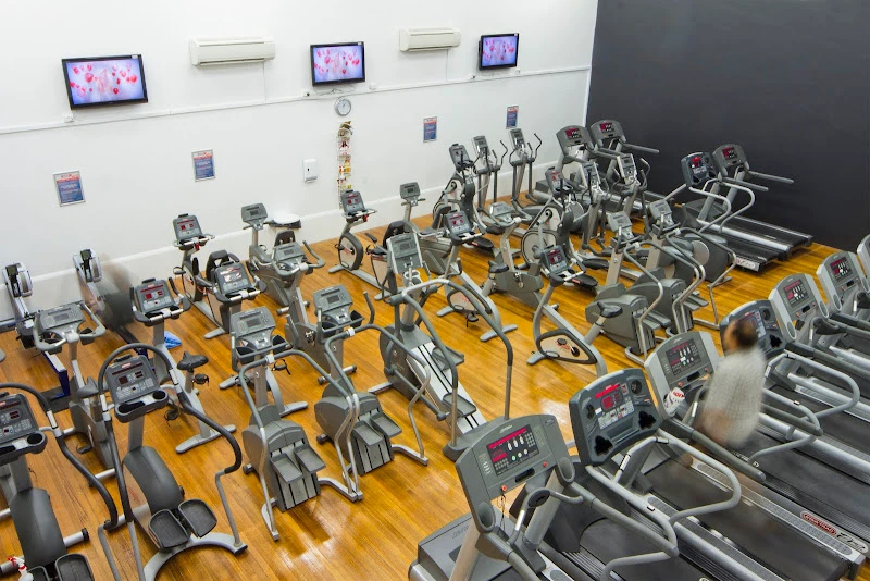 TEAM Fitness