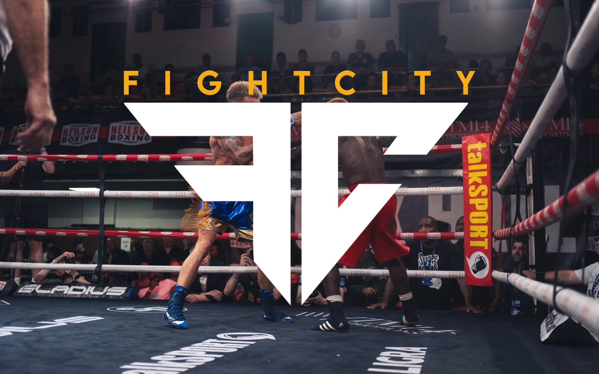 Alpha Amateur Boxing Club