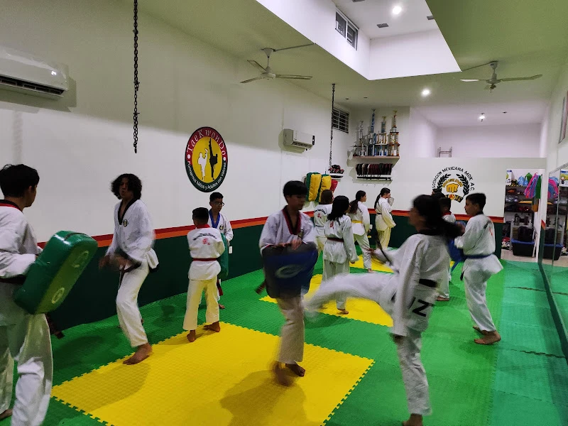 TAEKWONDO MDK La Joya