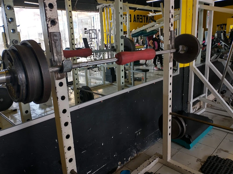 Pantera Gym
