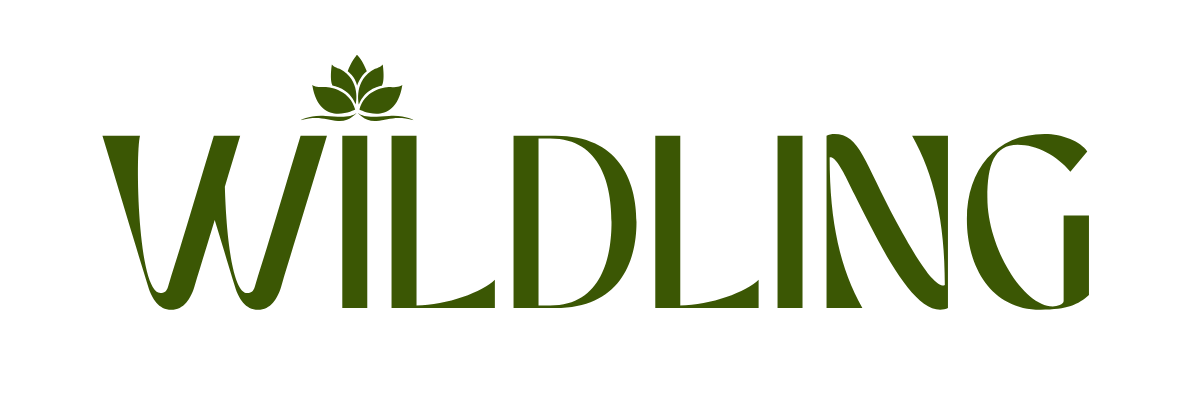 Wildling Studio