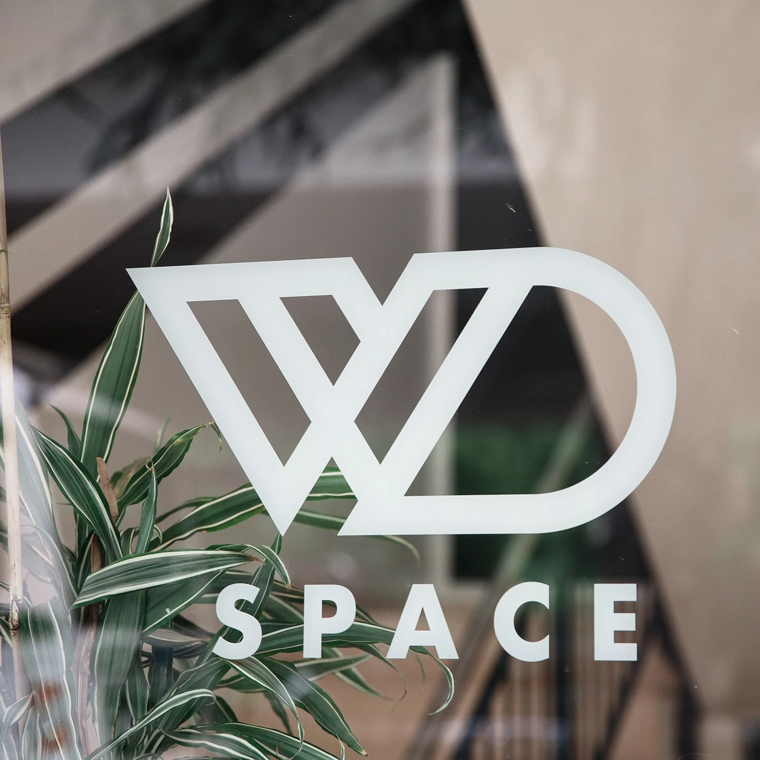 WD Space – Personal Training Studio