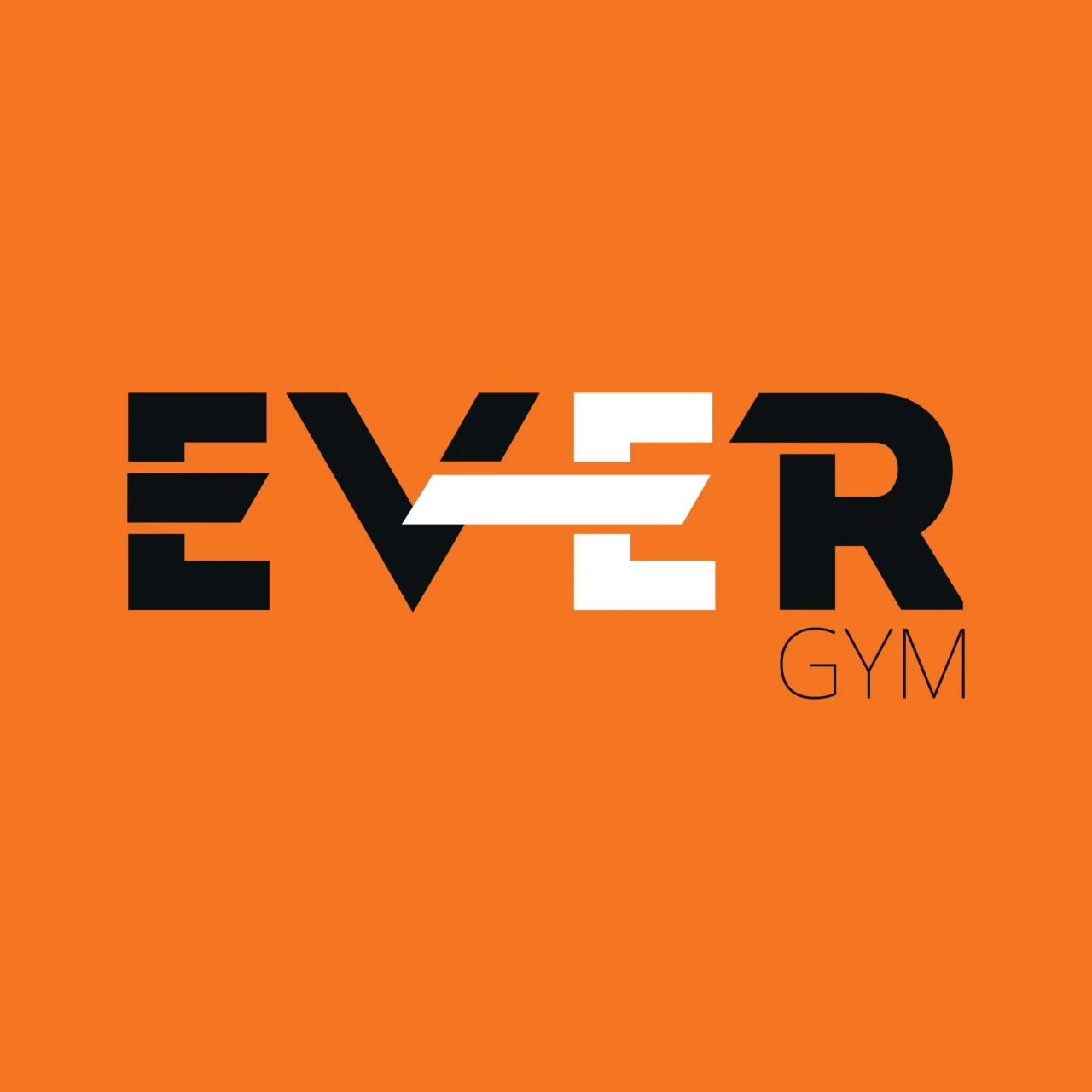 Ever Gym Treinamento Personalizado