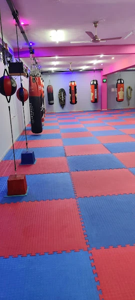 The Action zone -Boxing Fitness & Fight club