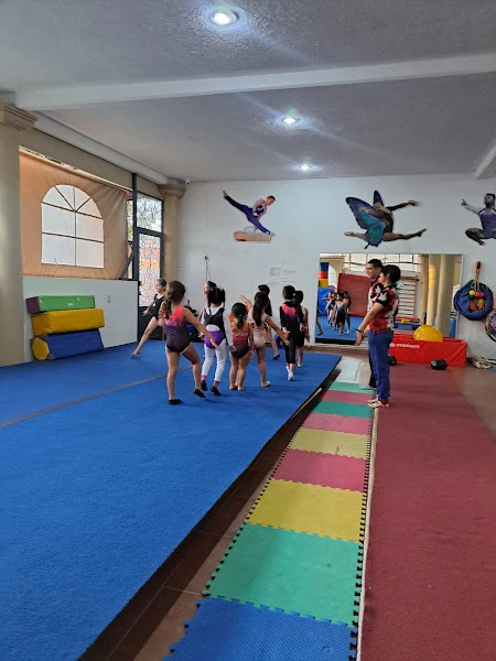 Gimnasia Divertigym Guanajuato