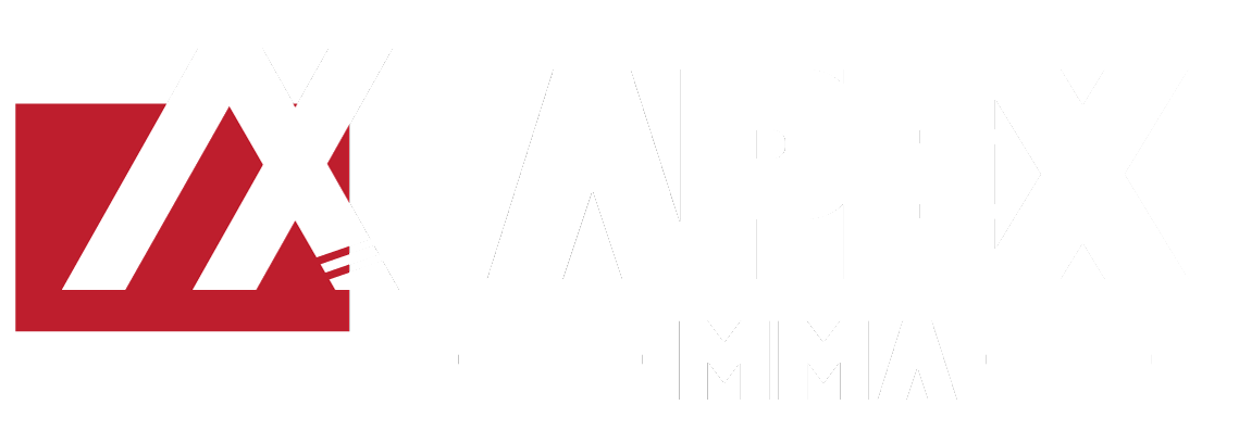 APEX MMA Windsor