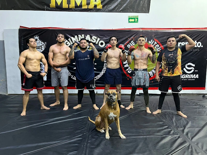 MMA Gym 58