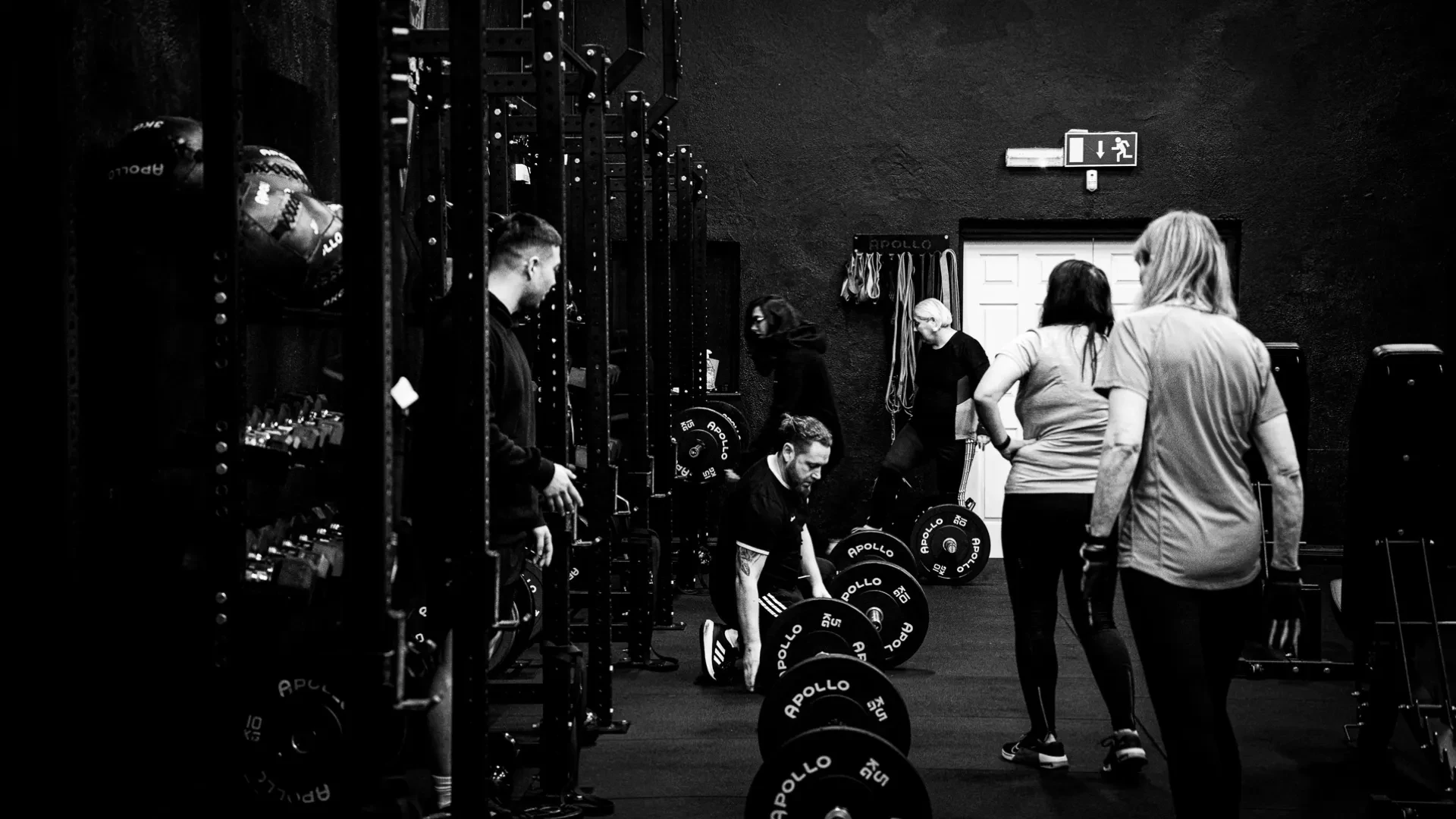 Tailormade Coaching Carrick-On-Suir